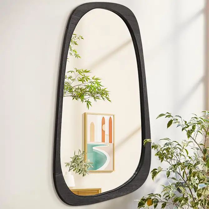 Asymmetrical Wall Mounted Mirror